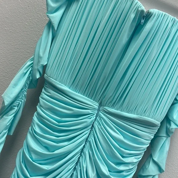 Prescott Gloved Ruched Mesh Midi Dress - Picture 8 of 9